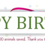 All About Animals – 2 Year Anniversary
