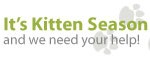 Kitten Season